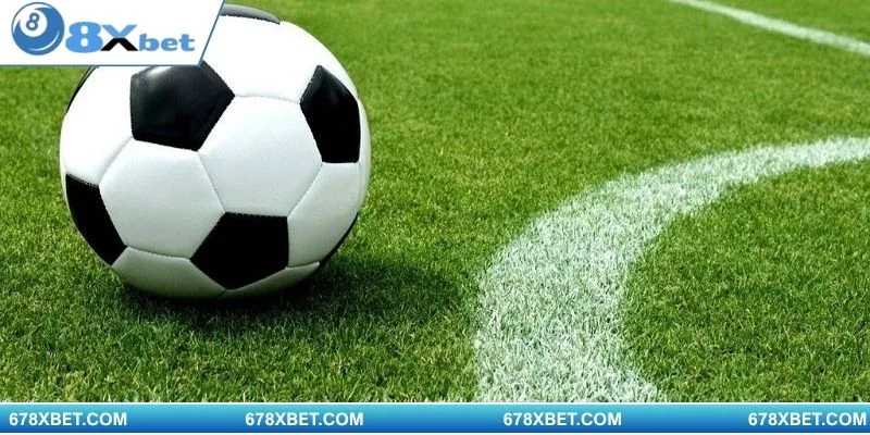 Tổng hợp những mẹo cá cược hiệu quả giúp bạn tăng tỷ lệ thắng khi vào tiền